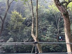 -灵隐飞来峰景区