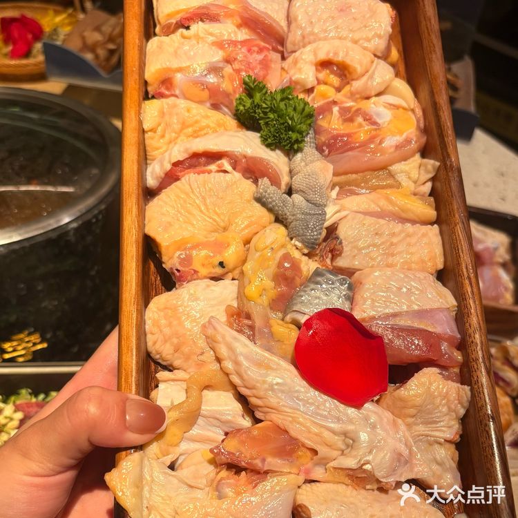  南京必冲！鲜到破防的野生菌火锅盛宴✨