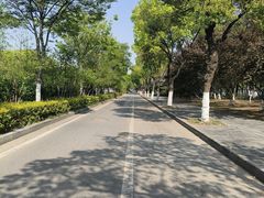 -老娘舅(苏州中心大道西大润发店)