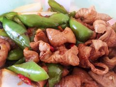 干锅尖椒肥肠-老厨家(友谊路总店)