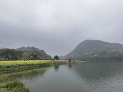 -广州市石门国家森林公园