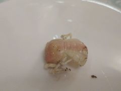 -北方饺子王·海肠捞饭·海鲜锅(山大店)