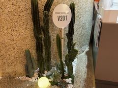 -小董哥烤串(金水花城店)