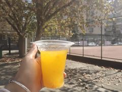 -安徽大学(龙河校区)