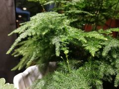 -长寿面(北京西路店)