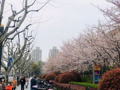 -星巴克(汇京国际广场店)