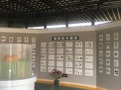 -米果果小镇