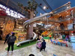 -卡通尼·Safari非洲探索乐园·生日会(金桥国际商业广场店)