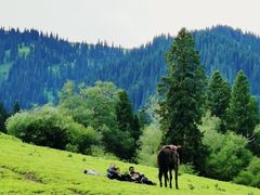 -新疆那拉提国家旅游度假区