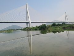 -芒洲湿地公园