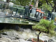 -蘇河湾·新鲁菜·泰山宴(泰山店)