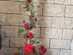 -22ºN BISTRO西餐&酒馆(石奥商业街店)