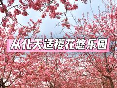 -天适樱花悠乐园