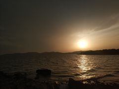 -上海市保健医疗中心