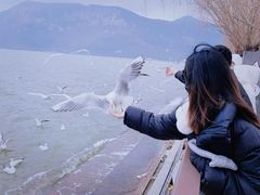 -滇池海埂公园
