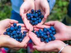 -金谷域澳洲庄园