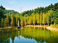 -广州市帽峰山景区