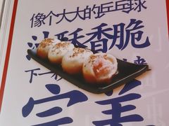 -鑫震源·苏式大虾生煎(山塘街店)