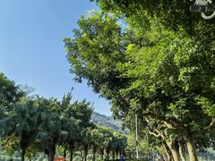 -风云岭森林公园