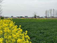 -黄海国家森林公园