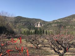 景点-蒙山大佛景区