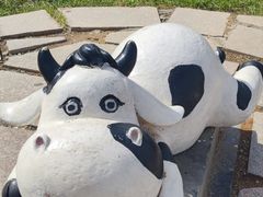 -君乐宝优致牧场