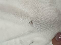 -黄山馥丽蓝山酒店(新安江店)