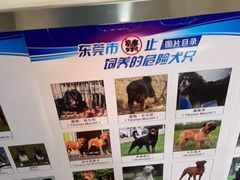 -宠颐生宠物医院外科·内科·皮肤科·影像科(石龙店)