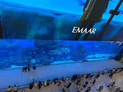 -迪拜水族馆及水下动物园