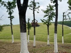 -合肥滨湖国家森林公园