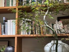 -自由生长植物工作室(深港花卉中心店)