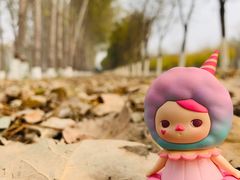 -东郊湿地公园