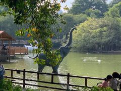 -深圳野生动物园