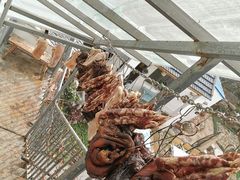 -美味之家·湖景农家乐(太湖东山店)