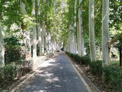 -河南省黄河迎宾馆