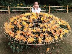 -汇龙潭