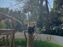 -杭州少年儿童公园