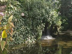 -郑州植物园
