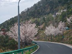 -天姥山景区