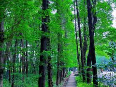 -同里国家湿地公园