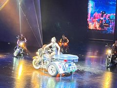 -重庆国际马戏城