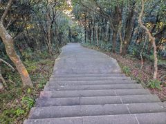 -梧桐山风景名胜区