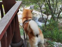-濂泉响谷