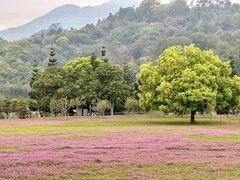 -福建鲤鱼洲酒店