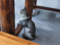 -刘家大院餐厅