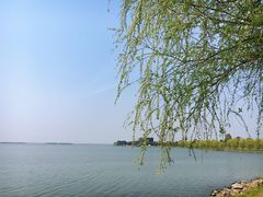 -漕湖湿地公园