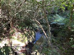 -海南热带雨林国家公园吊罗山景区