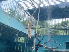 -宁波野生动物园
