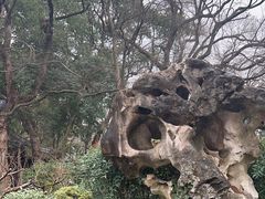 -绮园景区