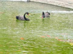 -天津市峰山药王古寺